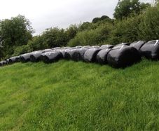 Silage bales