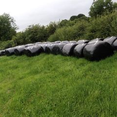 Silage bales