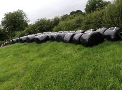 Silage bales
