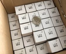 Bulbs