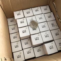 Bulbs