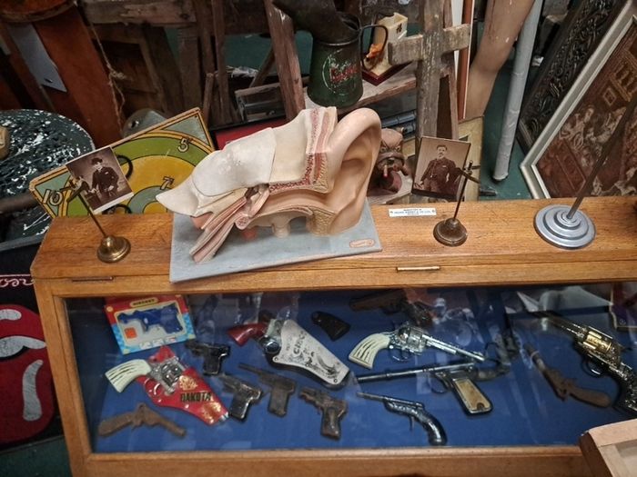 Vintage Human Ear Anatomical