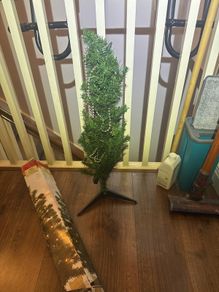 christmas tree
