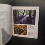 Landscape Photography Workshop, The Image 7