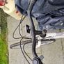 womans hybrid bike Image 4
