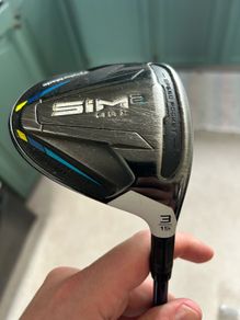 Sim 2 max 3 wood