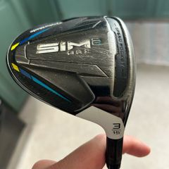Sim 2 max 3 wood