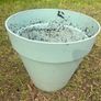 plant pots Image 8