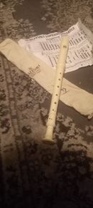 Suzuki recorder with canvas case and music note sheet