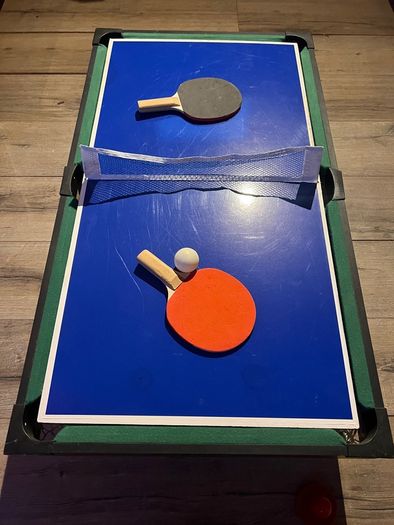 pool table / ping pong / ice hockey
