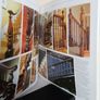 Period Details by Judith and Martin Miller (PT70) Image 5