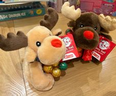 Xmas - Adorable Mini Reindeer (2 available)
