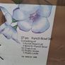 Vintage 27 Piece Glass Punch Bowl Set Boxed Image 9