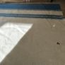 wool blanket Foxford 100% Pure New Wool Blanket Throw Blue Cream Striped Made in Ireland 180 220cm Image 4