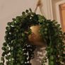 Faux hanging plant Image 2