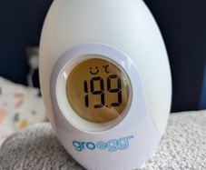 Gro Egg