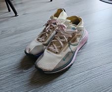 Nike gor-tex trail women's