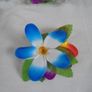 Hawaiian Hair Clips x 9 for Sale Image 2