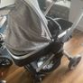 buggie Image 2