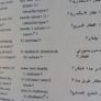 Vinyl World Foreign Language Series Arabic Image 6