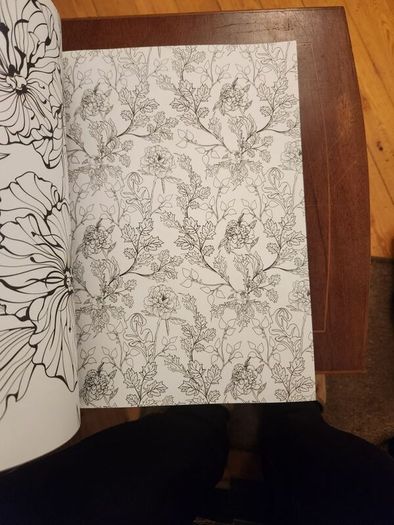 The Flowers And Nature Colouring Book.  Large Volume Paperback In Good Condition.