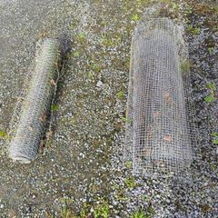 chicken wire and other wire