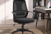 Ergonomic Mesh Office Chair Black