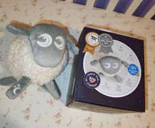 Ewan the Dream Sheep