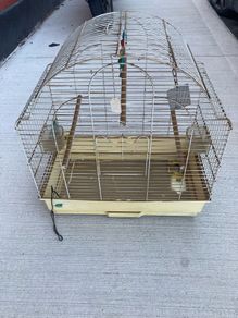 Bird cage