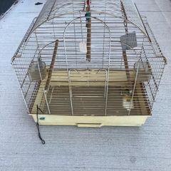 Bird cage