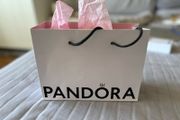 Pandora bag