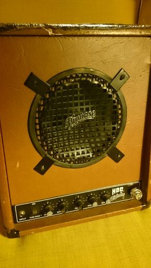 PIGNOSE 30watt busking amp