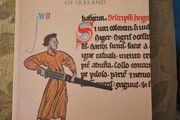 Treasures . From The National Gallery Of Ireland.  Large Volume Paperback In Good Condition. See Photos For Same.