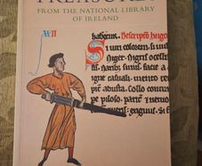 Treasures . From The National Gallery Of Ireland.  Large Volume Paperback In Good Condition. See Photos For Same.