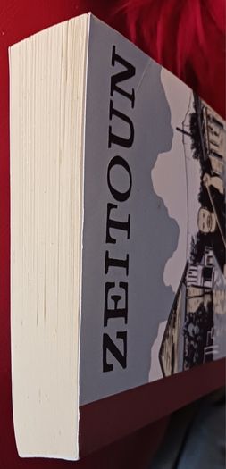 Dave Eggers / Zeitoun / 2010