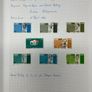 1965-74 Ireland used written up on spring back pages including some varieties/ errors in spring back album. Includes loads of spare pages. Note 66 rising set and MacCurtain & MacSweeney sets. Image 5
