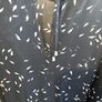 Savannah Miller NINE funky dress Image 2