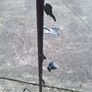 Wrought iron reading or music stand Image 3