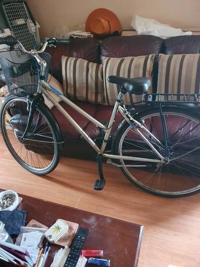 ladies DHS Travel bike