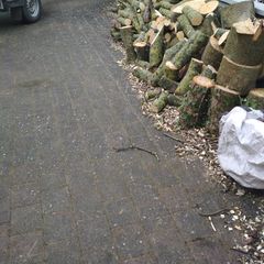 Free firewood