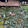 Trailer axle or trailer base Image 5