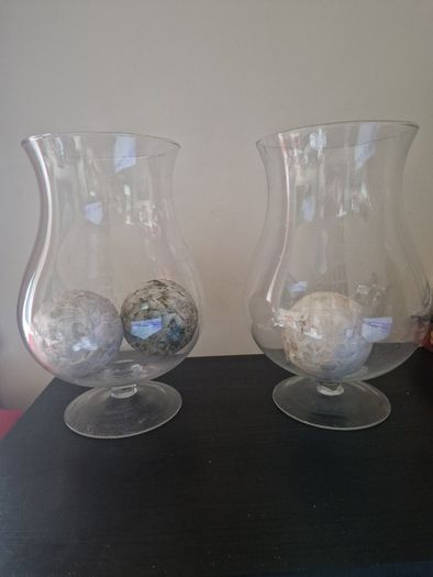 2 Large Delicate Glass Vases