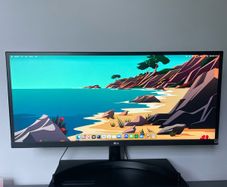 LG 29WK500 29" Ultrawide 2560x1080 75Hz FreeSync