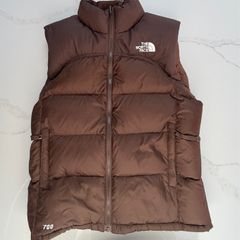 The north face vest