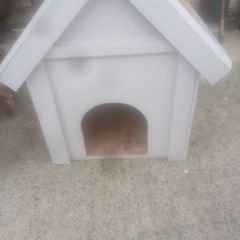 dog house