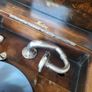 Meritone Gramophone Image 3