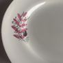 arklow oval plate Image 3