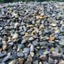 Load Of 20mm Washed Pebble Image 9