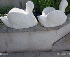 garden planters