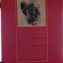 Dubhglas De h-Ide (1860 - 1949) by Risteard O Glaisne HB OOP Image 2